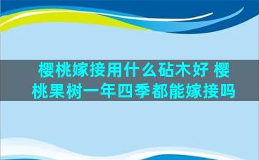 樱桃嫁接用什么砧木好 樱桃果树一年四季都能嫁接吗